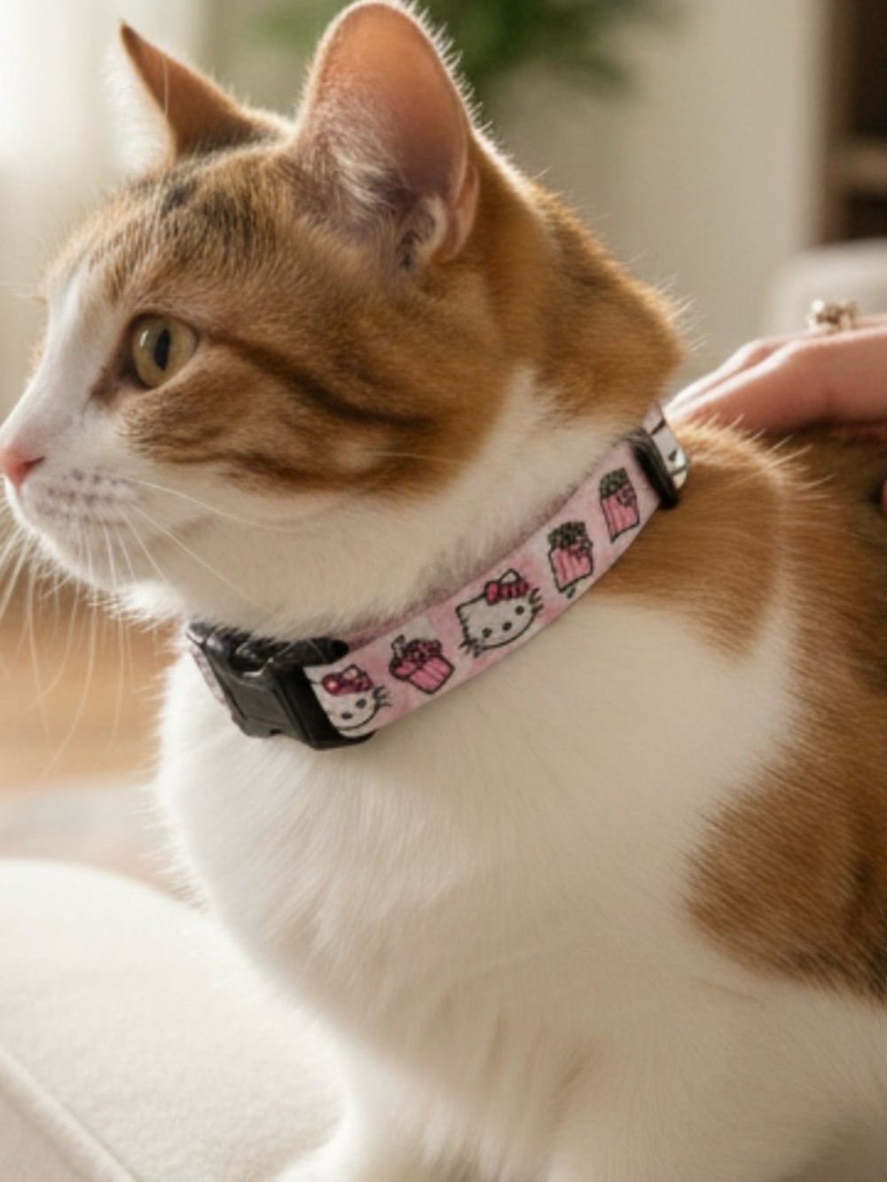 SassyMeow Hello Kitty Breakaway Adjustable Cat Collar Pink/White M